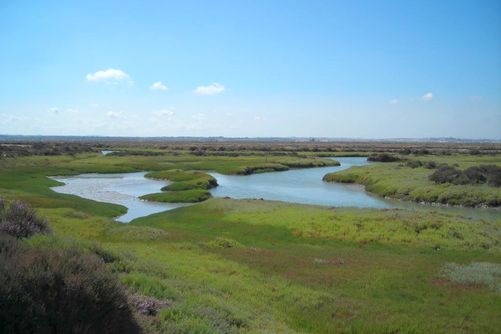 Marismas en el PN Bahia de Cadiz